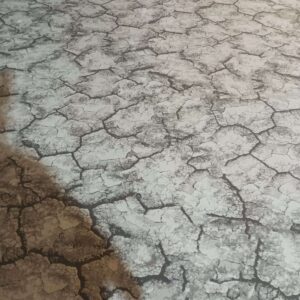 Desert Crackle Carpet