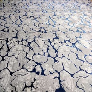 Arctic Mirage Carpet