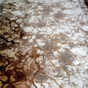 Frosted Earth Carpet