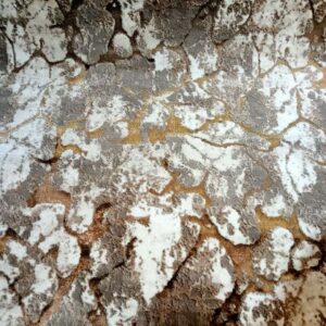 Earthen Artistry Carpet