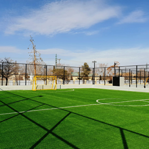Lush Green Soccer Field