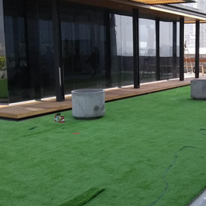 Rooftop Modern Turf