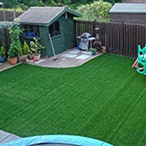 Backyard Turf