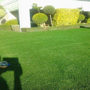 Humayun Interior Lawn Turf