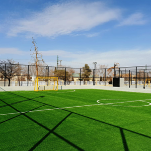 Humayun Interior Sports Grass