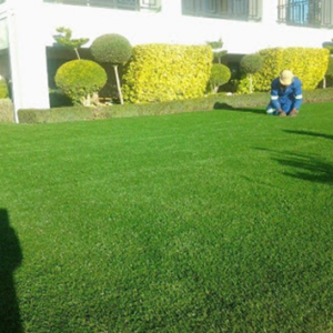 Artificial Green Carpet for Gardens