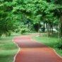 jogging-track