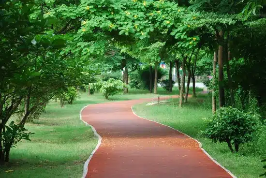 jogging-track